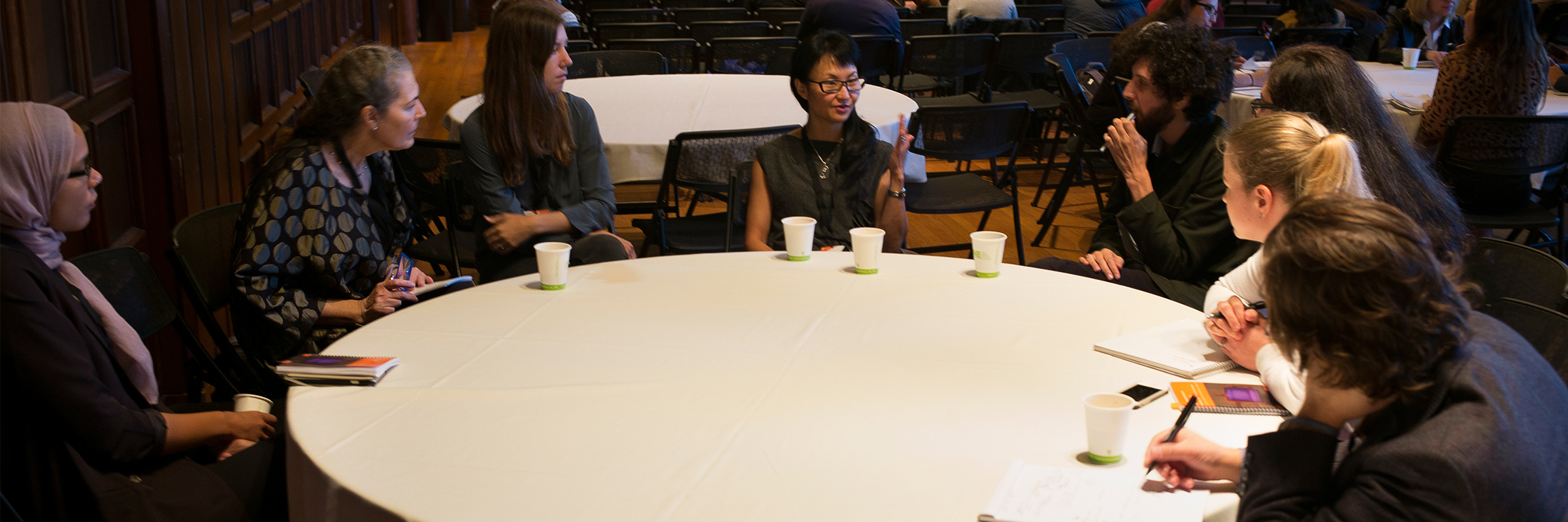 Wendy Chun, Sixth International Conference on The Image, University of California at Berkeley, USA (2105)